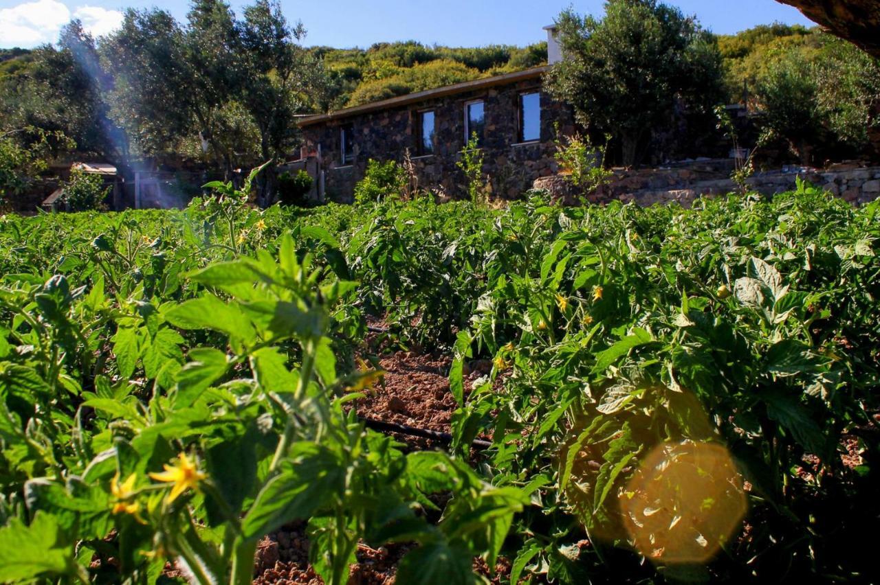 Assos Alis Farm Boutique Hotel & Spa Exterior foto